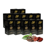 Rich Gano Reishi Mushroom Coffee - (12 Boxes of 30 Sachets) Black Coffee with Ganoderma Extract - All Natural Vegan Friendly Instant Coffee Packets