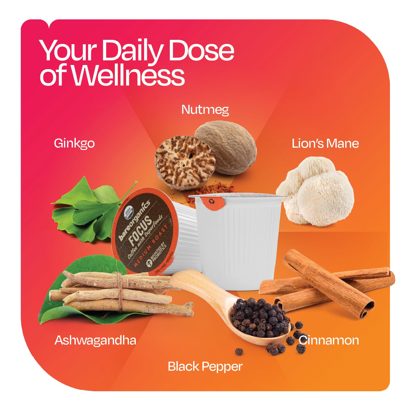 Focus Coffee with Superfoods - Organic Probiotic Mushroom Coffee Pods, Supports Healthy Focus & Digestion, Infused with Ashwagandha, Lion's Mane