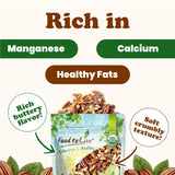 Food to Live Organic Pecan Pieces, 6 Pounds - Raw, Chopped Pecans, Non-GMO, Unsalted, Unroasted, Kosher, Shelled, Vegan, Keto, Sirtfood, Bulk. Good