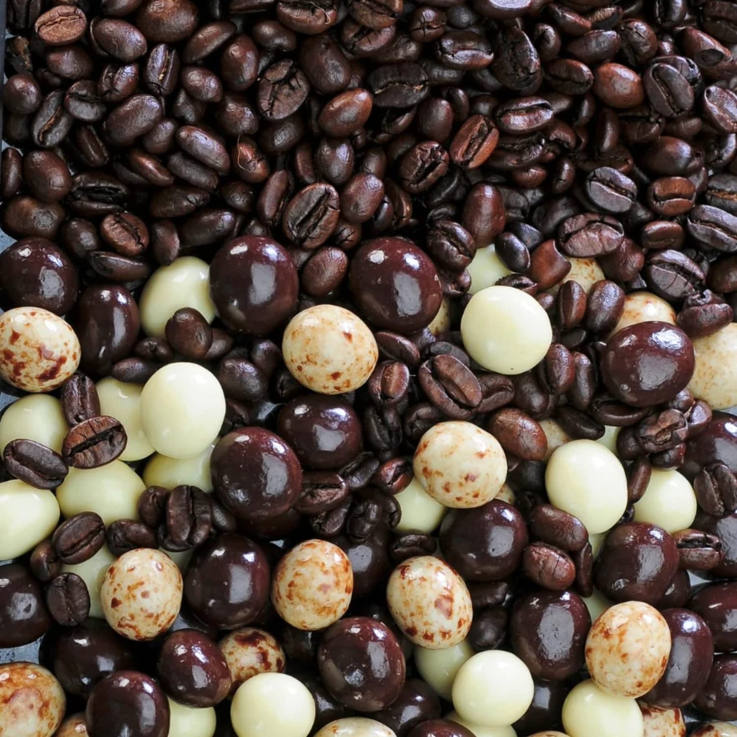 Dilettante Espresso Blend Espresso Beans In Semisweet, Milk and White Chocolate, 5 Pound