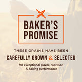 100% Organic Hard White Wheat Berries - 25 lbs