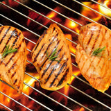 Today Gourmet Foods of NC - Chicken Breast - Boneless/Skinless Antibiotic Free (4 Ounce (Pack of 20))
