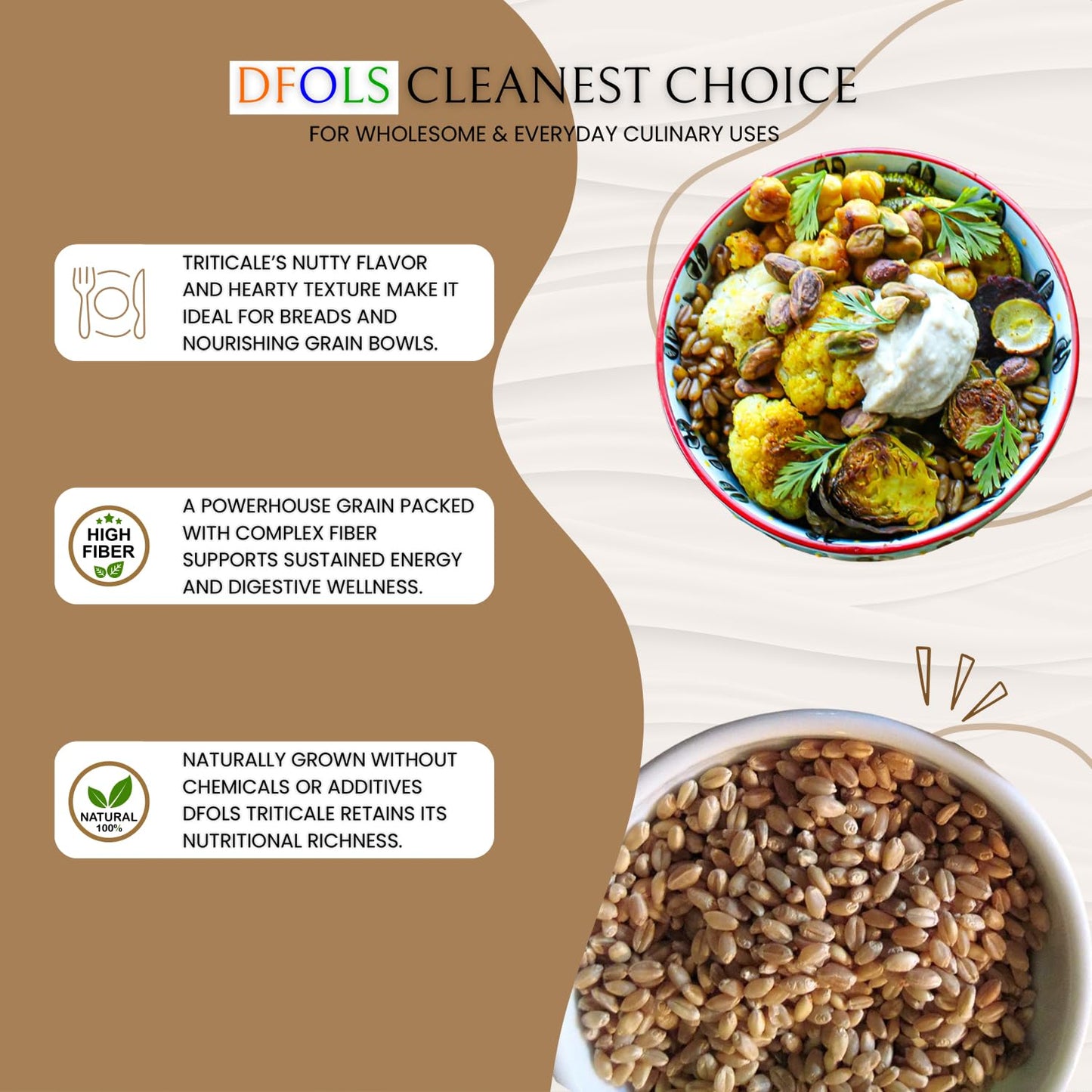 DFOLS Triticale Whole Grain Mild Nutty Wheat Rye Flavor for Cooking 0.55lb 8.82oz (250g) Premium Quality ???????