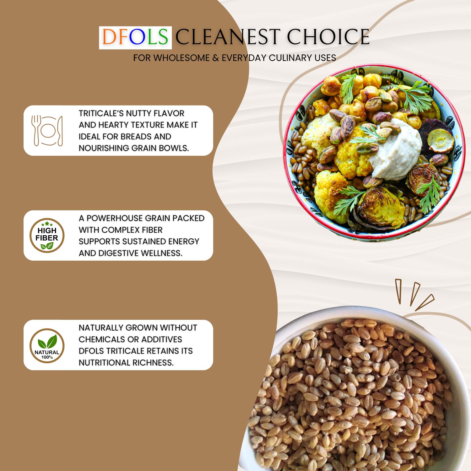DFOLS Triticale Whole Grain Mild Nutty Wheat Rye Flavor for Cooking 0.55lb 8.82oz (250g) Premium Quality ???????