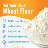 Grand Teton Ancient Grains - 100% Organic All-Purpose Einkorn Flour, Einkorn Flour Organic & Non-GMO, Einkorn Flour, Rich in Vitamins & Minerals
