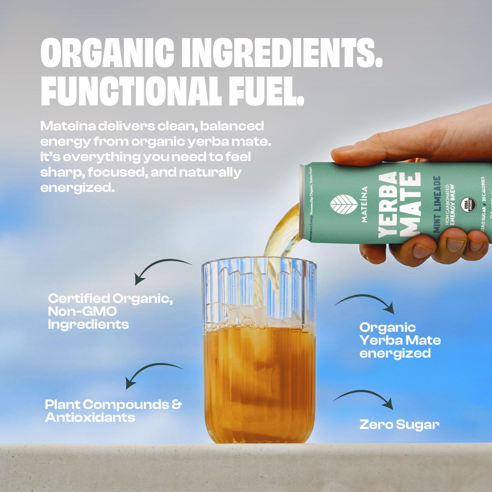 Mateina Organic Mint Limeade Yerba Mate, 12 FZ