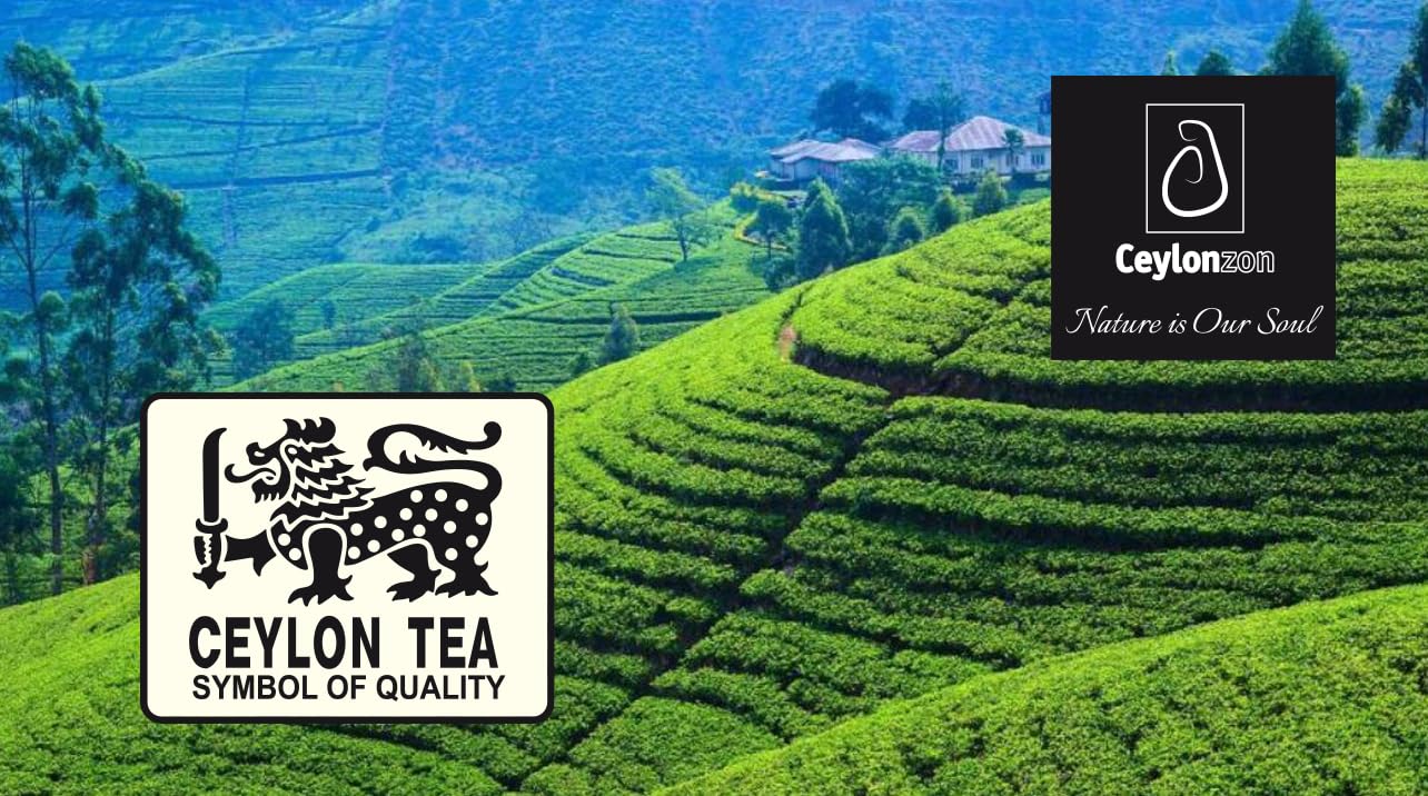 Ceylonzon Ceylon Supreme Flowery Broken Orange Pekoe Fannings Special Tea Classic Taste 25 Individually Foil-Wrapped Tea Bags 40g