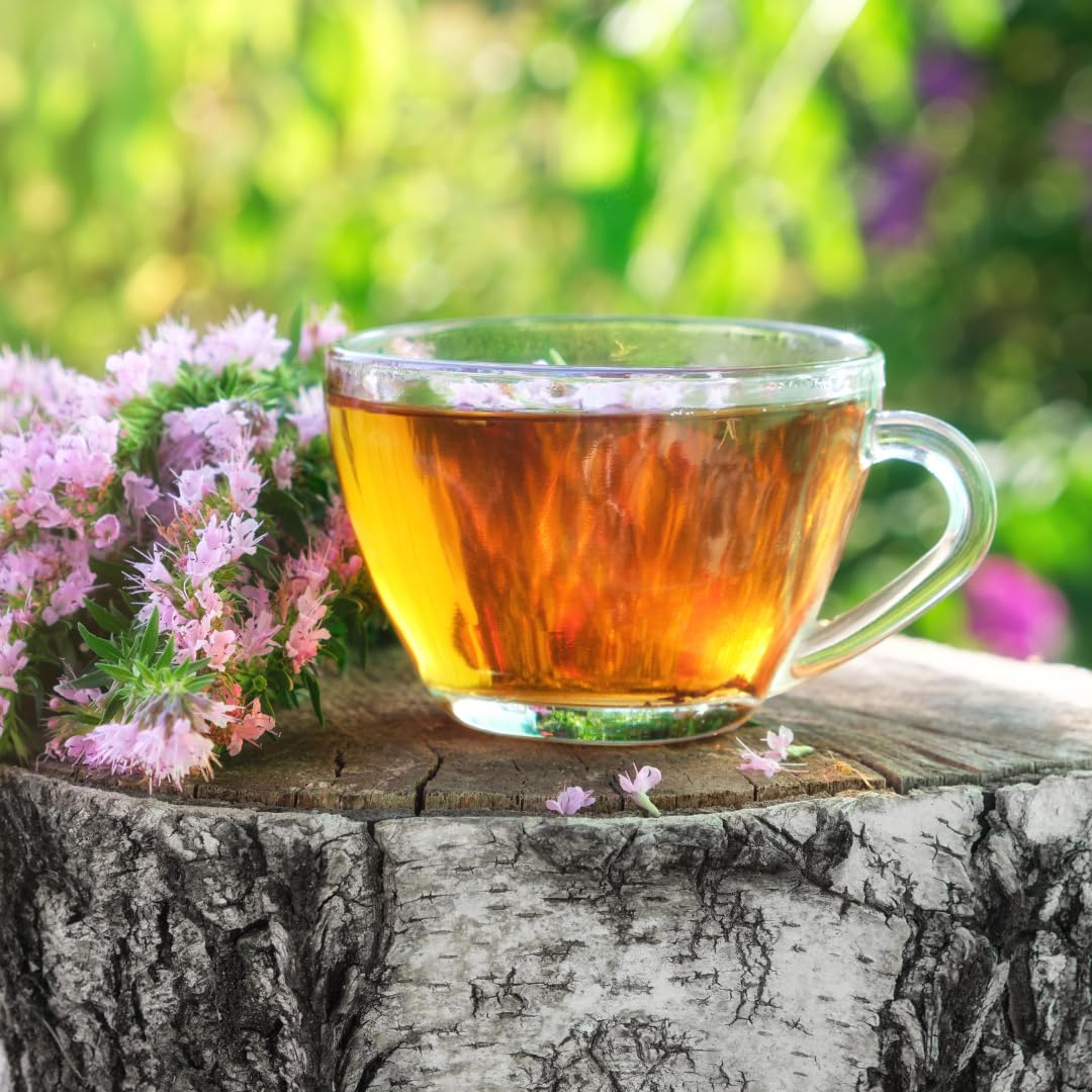 Jovvily Hyssop Herb - 4 oz - Herbal Tea - Cut & Sifted