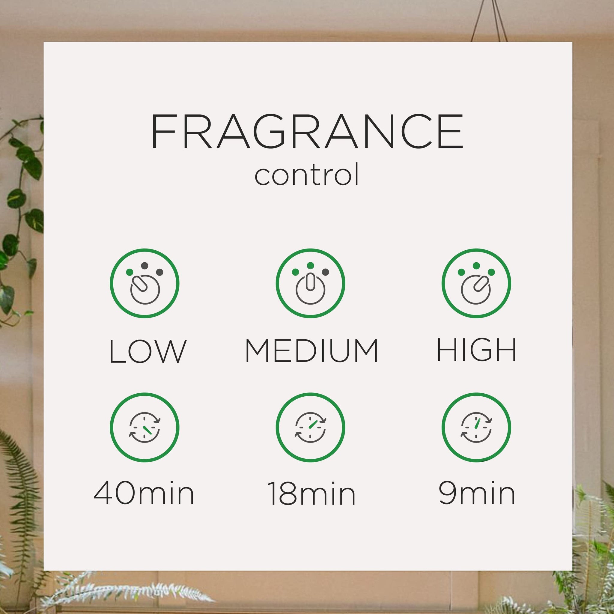 Air Wick Automatic Air Freshener Spray Refill, Lush Honeysuckle & Raspberry, Essential Oils, Odor Neutralization