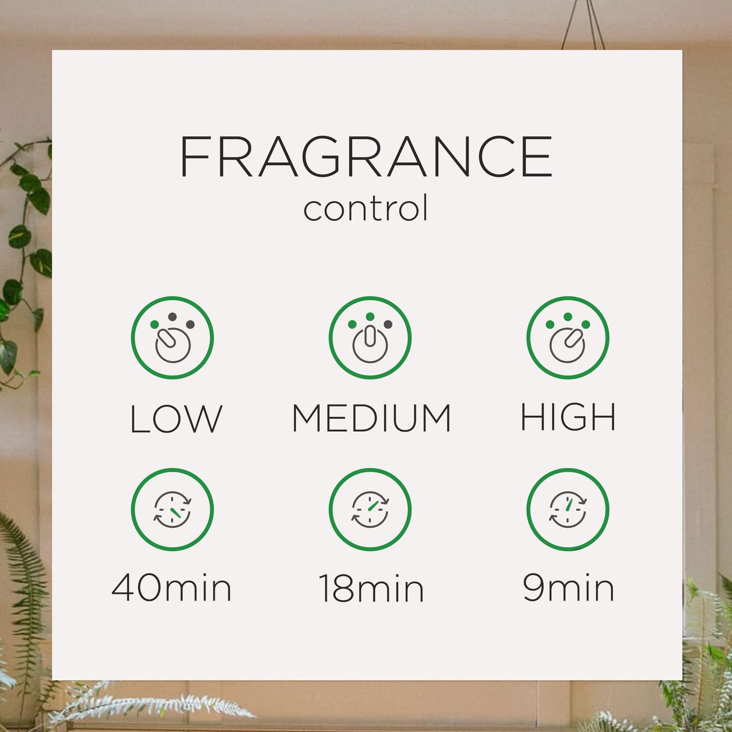 Air Wick Automatic Air Freshener Spray Refill, 1ct, Summer Delights, Odor Neutralization, Essential Oils