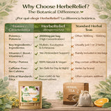 HerbeRelief Tea - Aromatic Botanical Infusion w/Gordolobo (Mullein Leaf),Oregano,Spearmint, Eucalyptus, Echinacea & Vitamin C - 24 Tea Bags (2000 mg