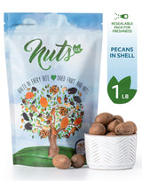 NUTS U.S. - Pecans In shell | Whole, Raw and Unsalted | No Added Flavor or Color | Fresh Buttery Taste and Easy to Crack | Natural Unshelled Pecans
