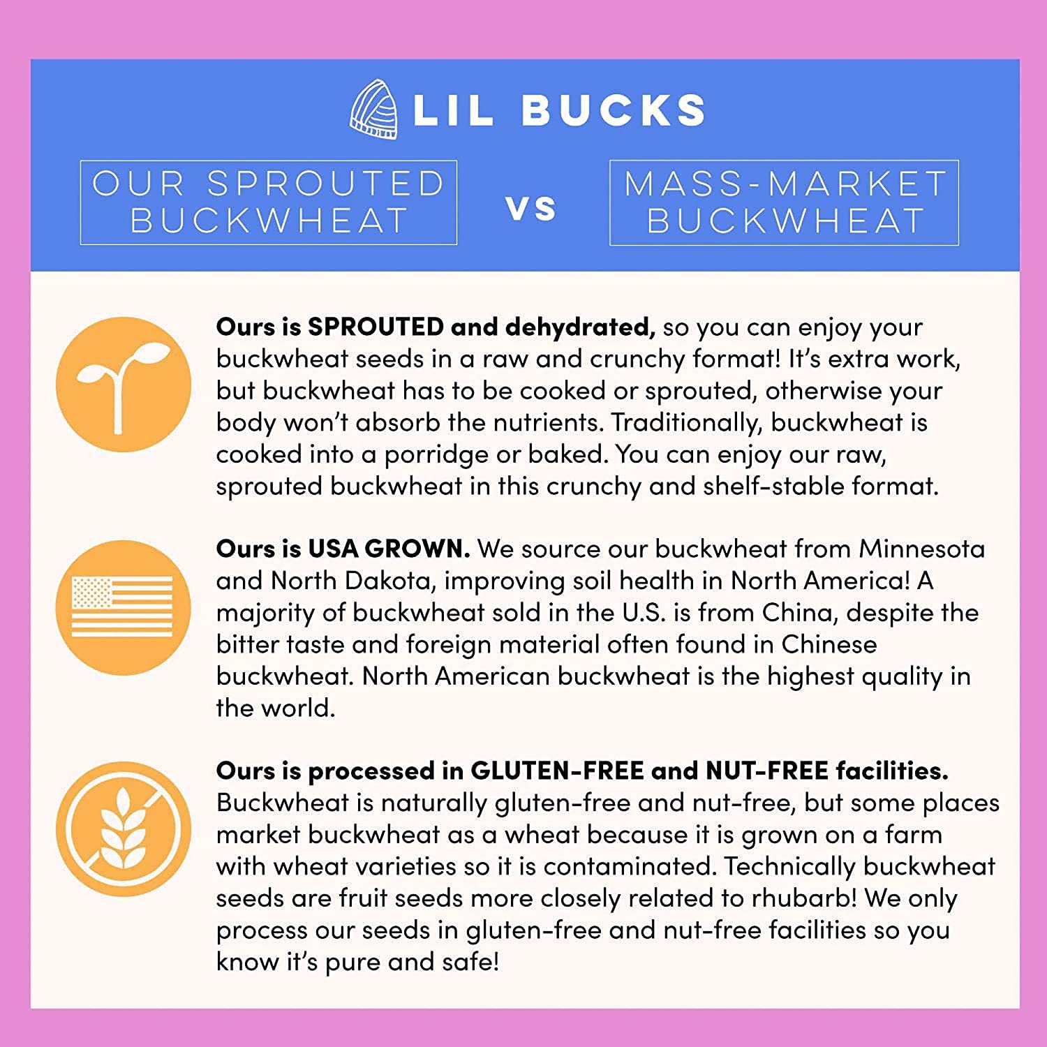 Lil Bucks Clusterbucks Grain-Free Superfood Clusters made with Sprouted Buckwheat and Adaptogens, Gluten Free Snack (Snickerdoodle, 6 Pack)