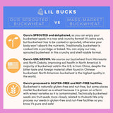 Lil Bucks Clusterbucks Gut Friendly Clusters made with Regenerative Organic Sprouted Buckwheat, Gluten Free Snack (Coco Maple, 3 Pack)