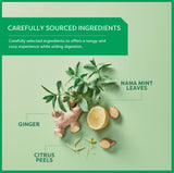 Wissotzky Nana Mint Ginger & Citrus Herbal Tea, 20 Tea Bags | Zesty Blend | Caffeine Free Tea | Digestive Support