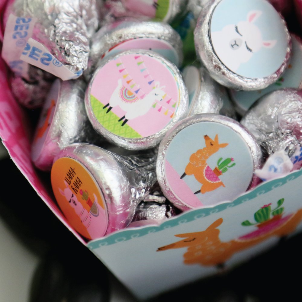 Whole Llama Fun - Llama Party Favors - Round Candy Stickers - 108pc