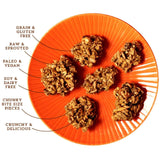 Lark Ellen Farm Grain-Free Granola, Certified Organic Raw Sprouted Vegan Clusters, Paleo & Crunchy Gluten-Free Bites for Cereal or Yogurt, Pumpkin Fig