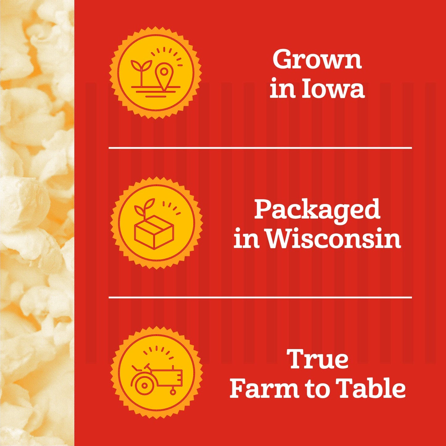 Franklin’s Gourmet Popcorn All-In-One Popcorn Packs for Popcorn Machine - 8oz Pack of 10 - Made in USA - Packs of Corn Kernels with Buttery Salt & Oil