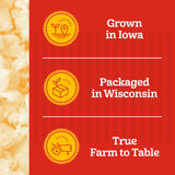 Franklin’s Gourmet Popcorn All-In-One Popcorn Packs for Popcorn Machine - 8oz Pack of 10 - Made in USA - Packs of Corn Kernels with Buttery Salt & Oil