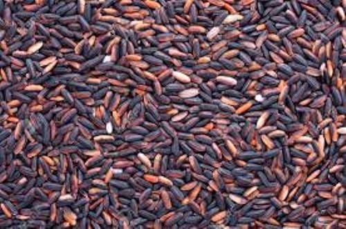 SWEET RICE BLACK- 4.4lb