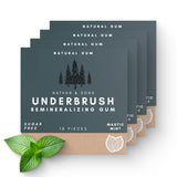 Underbrush Mastic Mint Remineralizing Natural Gum, Sugar Free Xylitol Gum with Hydroxyapatite, Supports Fresh Breath and Oral Health, Tree Sap Base