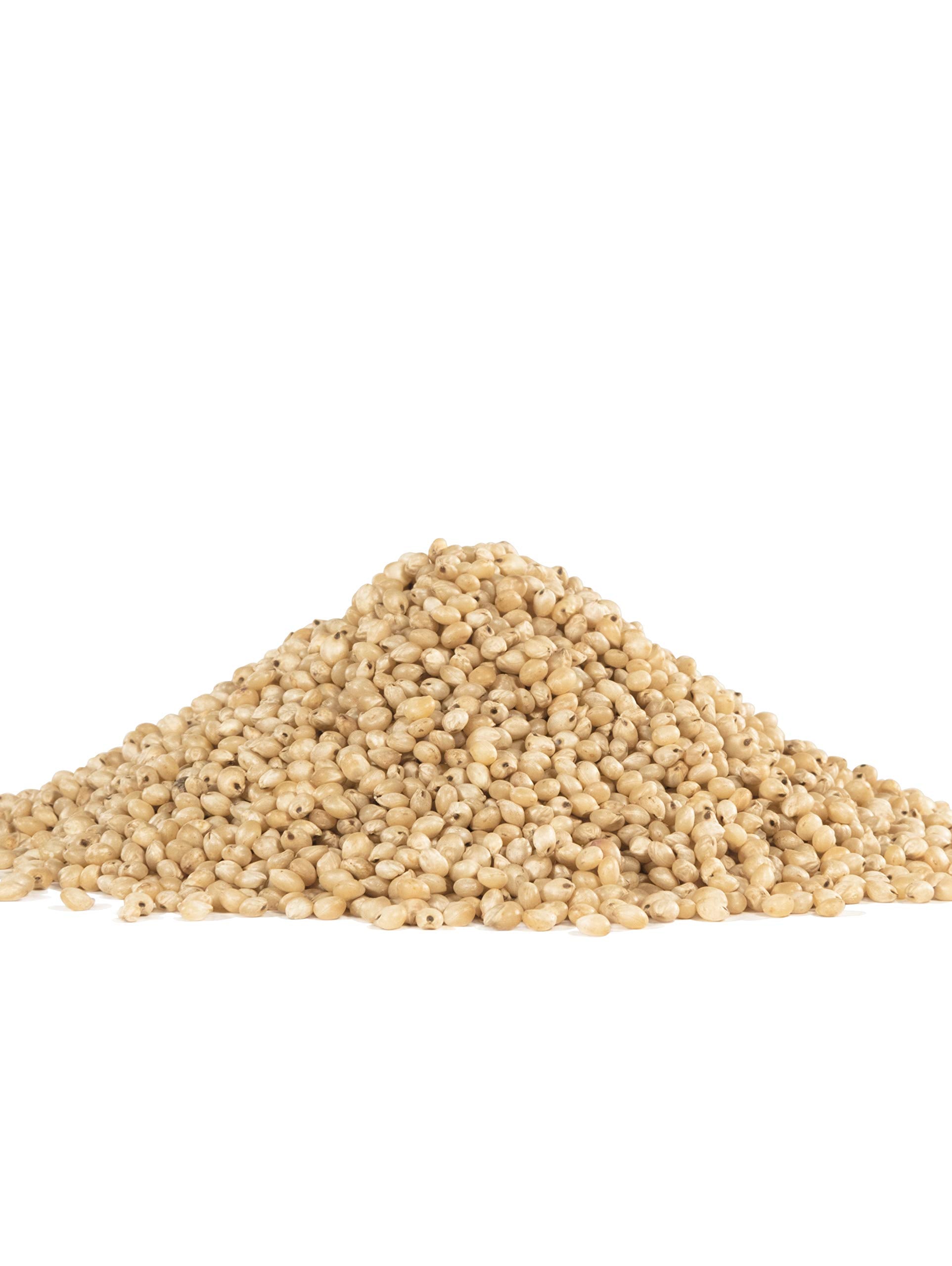 Bob's Red Mill Sorghum Grain, 24oz (Pack of 1) - Whole Grain, Vegan, Kosher