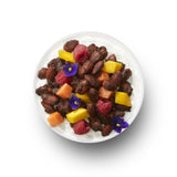 THE GRANOLA BAKERY TGB Chocolate Almond Keto Nuts, 1g Net Carb, No Added Sugar, High Fiber, Gluten Free, Grain Free, Healthy Low Carb Snack, 8oz