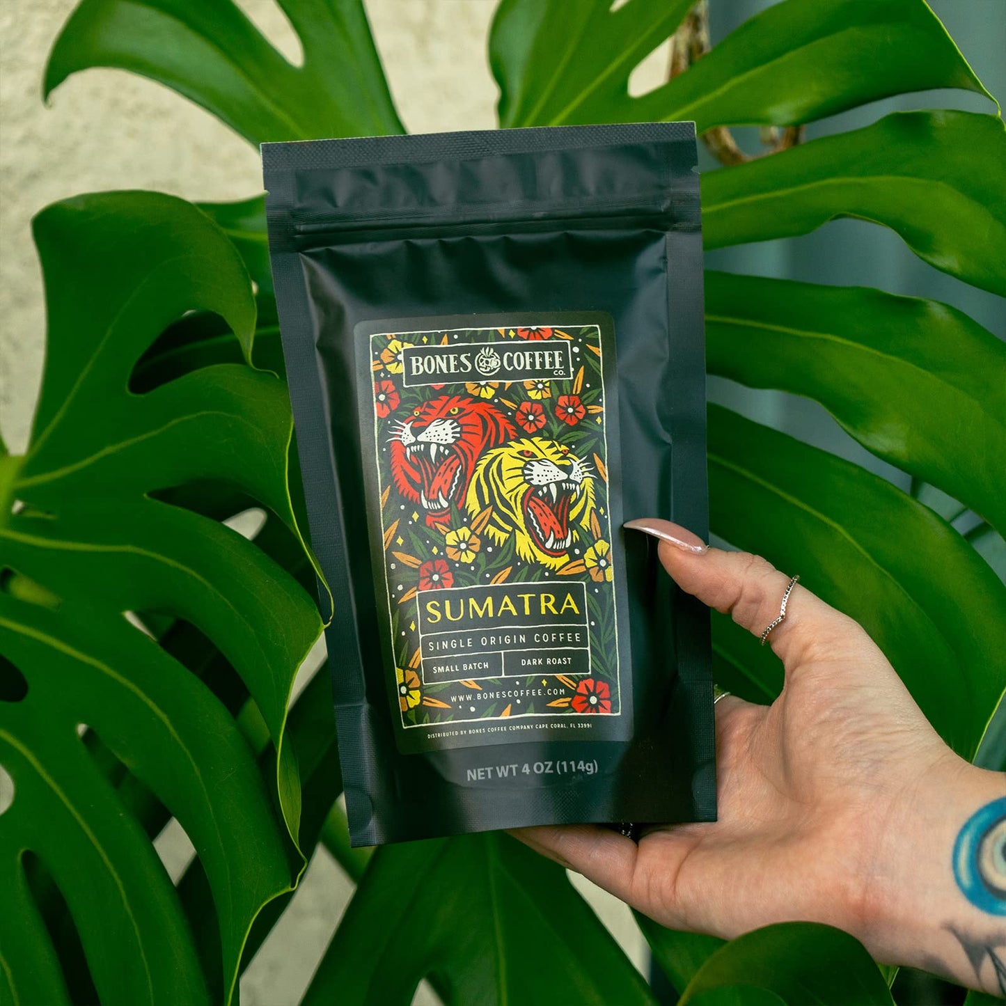 Bones Coffee Company NEW World Tour Sample Pack Box Set with Specialty Coffee Mug, 5 Assorted Single-Origin Low Acid Medium Roast Arabica Beans