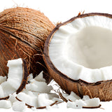 Young Coconut Meat in Syrup - 15oz (Pack of 3)
