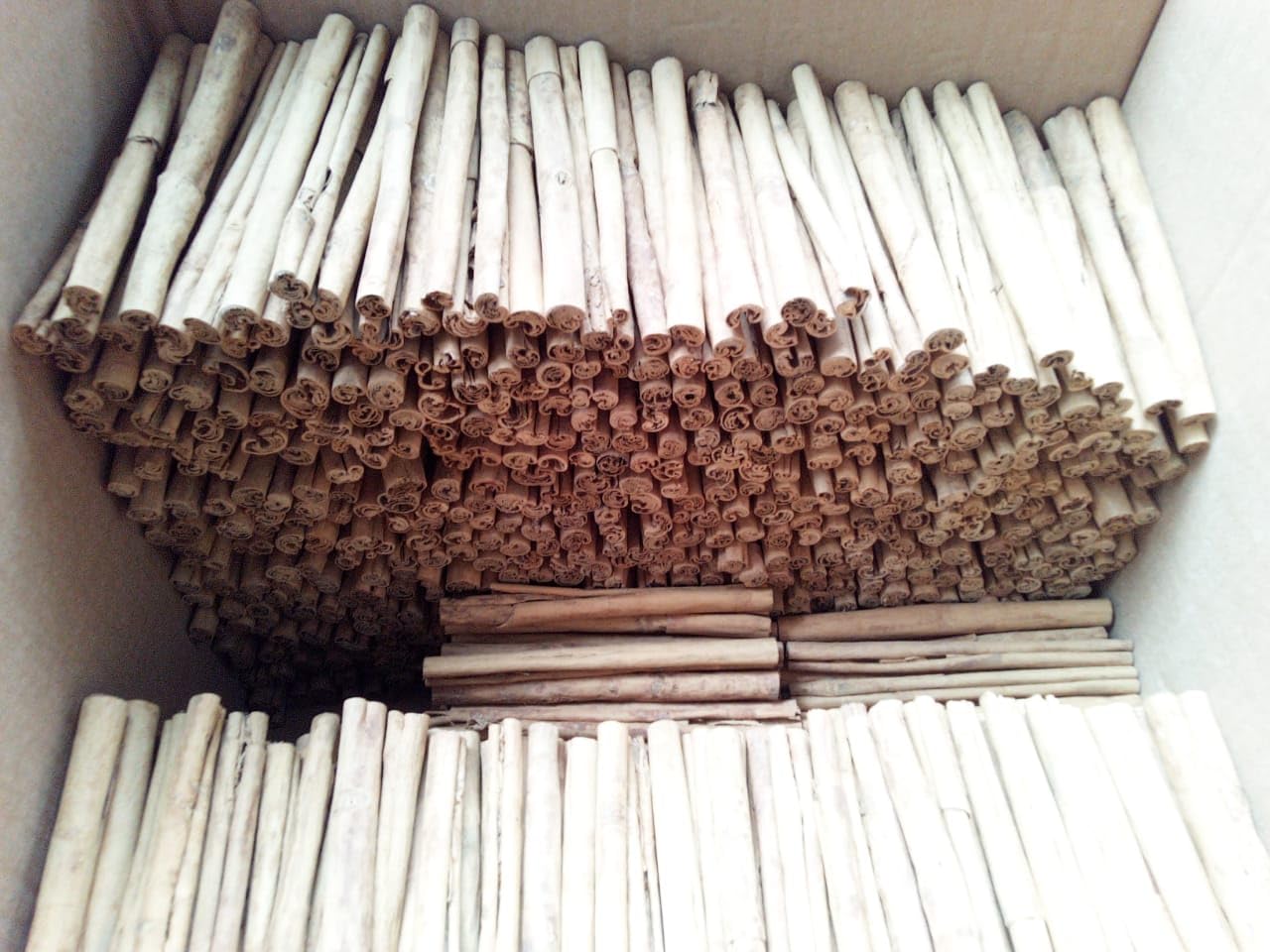 10 lb of organic Ceylon Cinnamon sticks, 7 inches long, chemical-free, and 100% natural. These are premium quality True Cinnamon (Cinnamomum Verum)