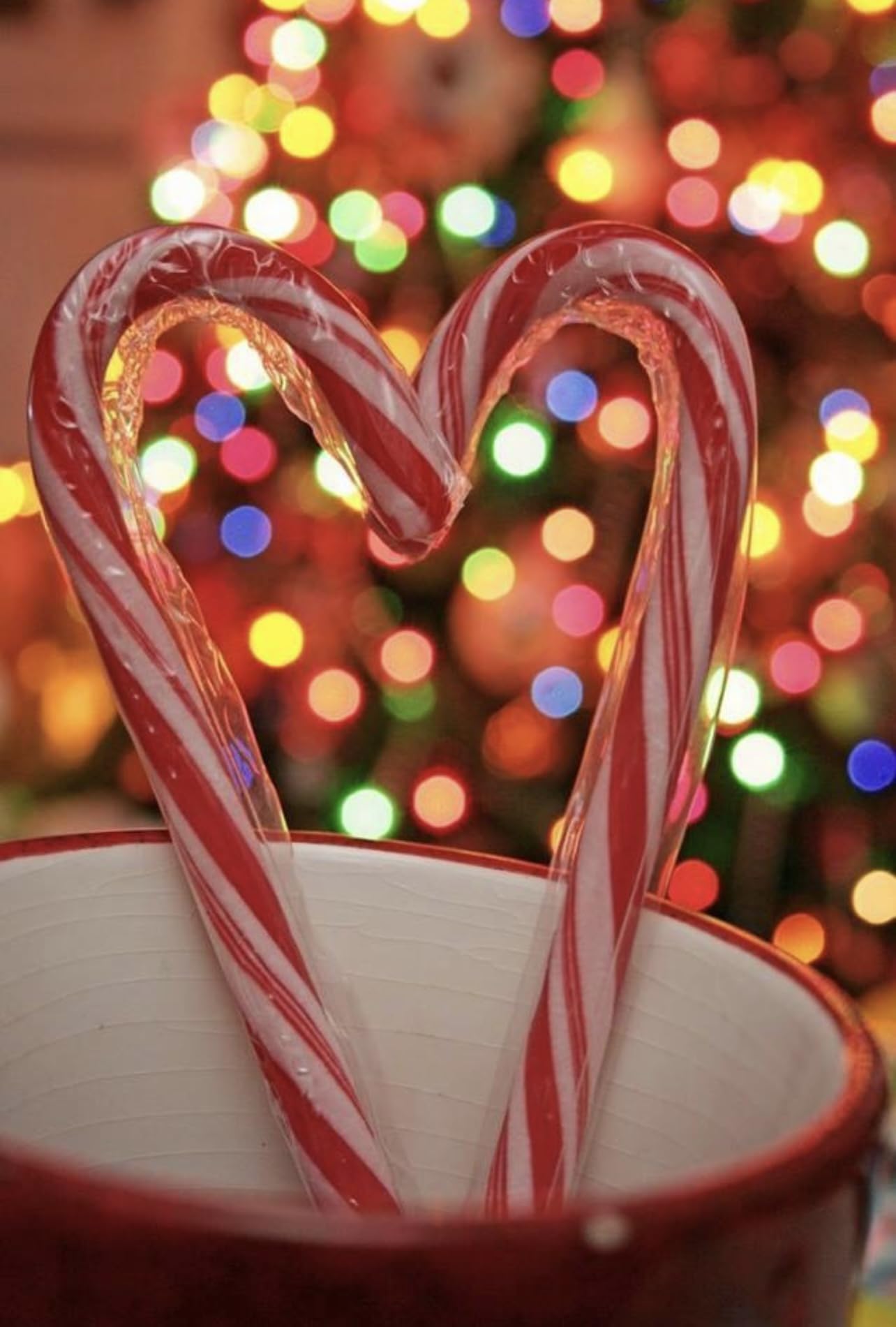 Candy Cane (120 count) Peppermint Flavored | Red & White Stripes Individually Wrapped |BULK | (10 Boxes (12ct) 120 Total)