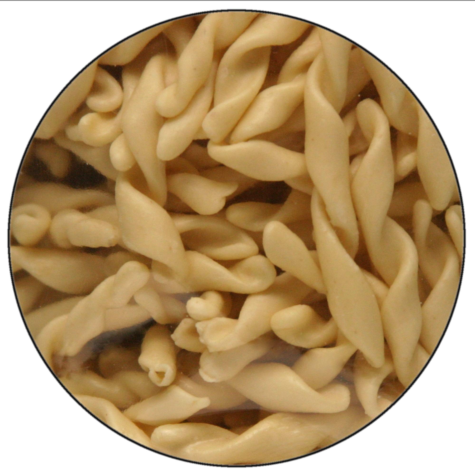 Maestri Pastai, Gourmet Fusilli Avellinesi Italian Pasta (Southern Italy Fusilli Pasta) (Pack of 3), Special "Series 42", Premium Imported from
