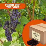 Presto Sales Raisins, Thomson Select South Africa Seedless Packaged in a 10 lbs. (160 oz) Bag, Great Trace Mineral, Kids and Adults Energy Boost Snack