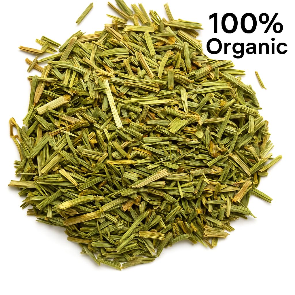 Organic Bio Herbs - Premium Dried Horsetail Herb (Equisetum) - 2 Oz Whole Leaves, 100% Natural, Sun-Dried for Maximum Freshness & Potency - Herbal Tea