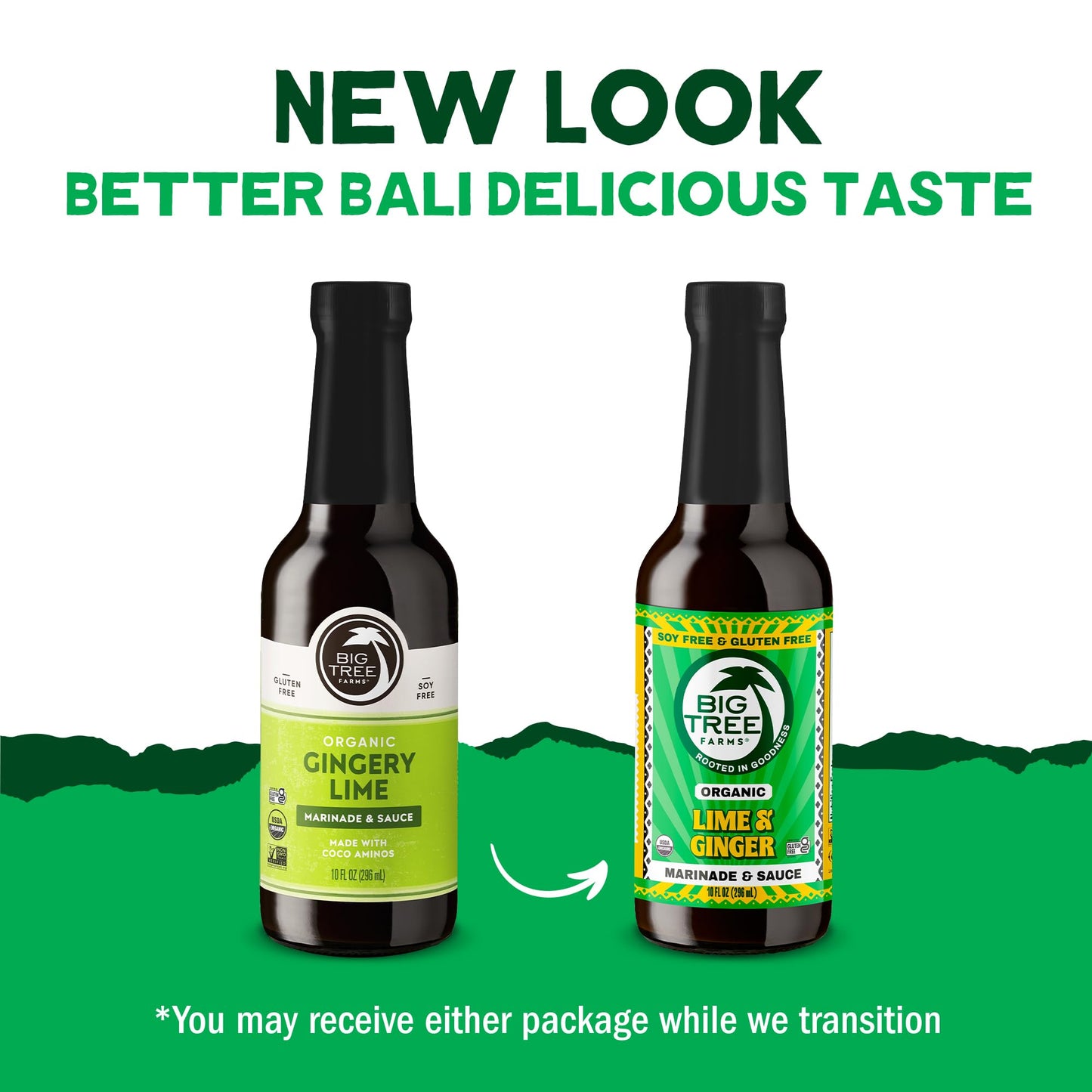 Big Tree Farms Organic Coco Aminos - Liquid Coconut Aminos, Soy-Free Sauce, Low Sodium, Soy Alternative, Gluten Free, Kosher, Marinade & Sauce