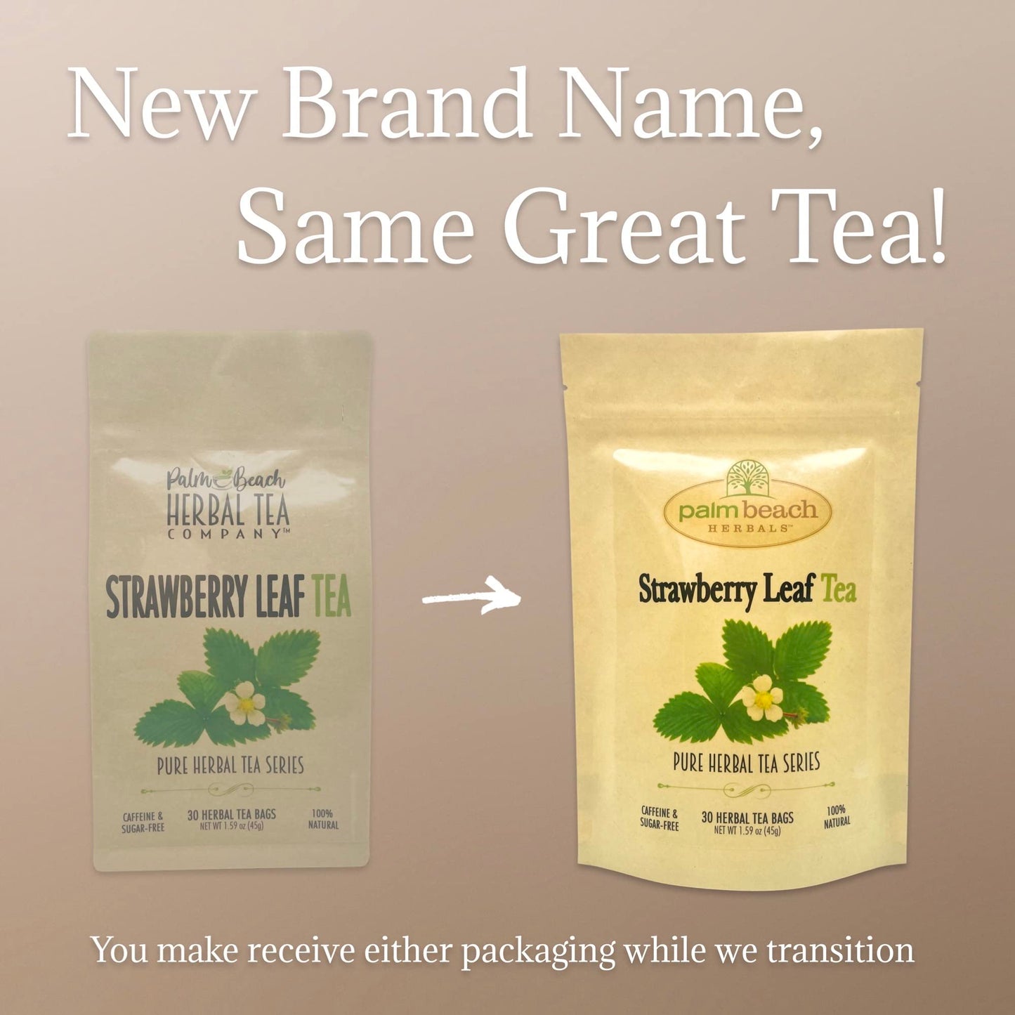 Palm Beach Medicinal Herbs - Strawberry Leaf Tea - Pure Herbal Tea Series, 30ct