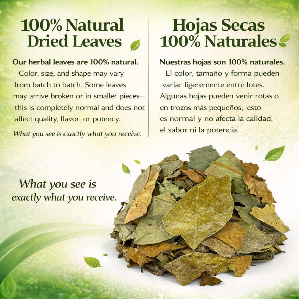 Guanábana Hojas (Soursop Leaves Tea) - Jumbo 4 oz - 100% Natural, Vegan, Non-GMO, Wildcrafted & Authentic - Caffeine-Free Herbal Tea - Makes 30+ Cups