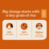 Jasberry, Rice Superfood 9 Grains Organic, 7.05 Ounce