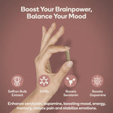 Nedley Health Mood - Emotional Balance & Serotonin Support Supplement - Same, Saffron Extract - 60 Tablets (Mood)
