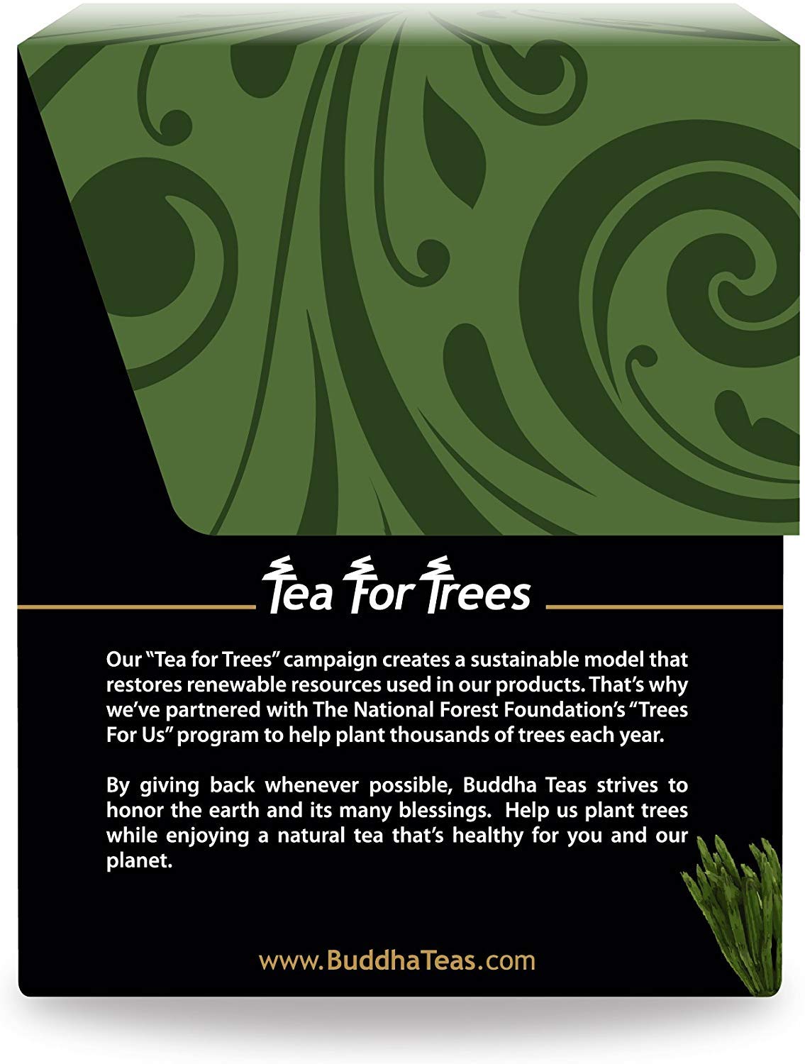 Buddha Teas - Horsetail - Organic Herbal Tea - For Cognitive Balance & Overall Health - With Antioxidants, B Vitamins & Silica - Caffeine Free - 100%