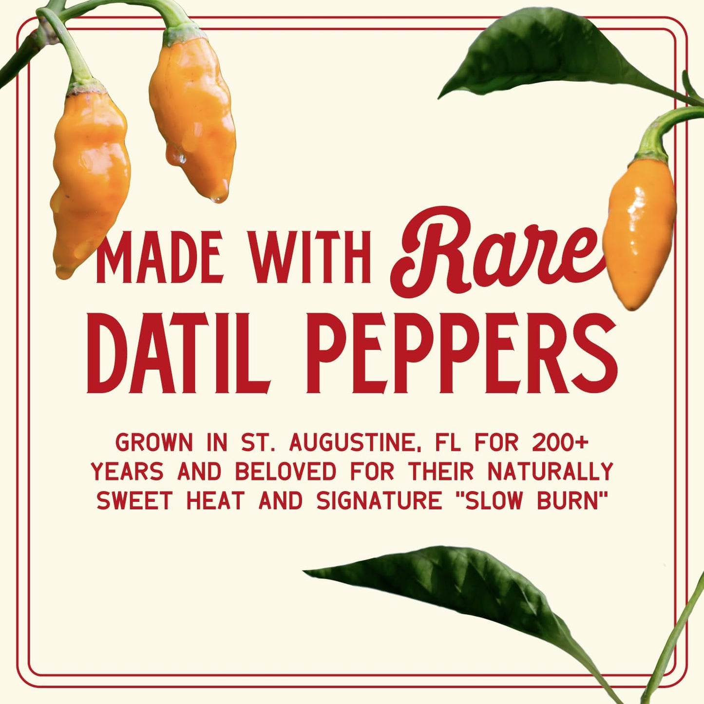 Zab's Hot Sauce Variety Pack, Original and St. Augustine Style (6oz Each, 2 Pack), Naturally Sweet Heat & Signature Slow Burn from Datil Peppers
