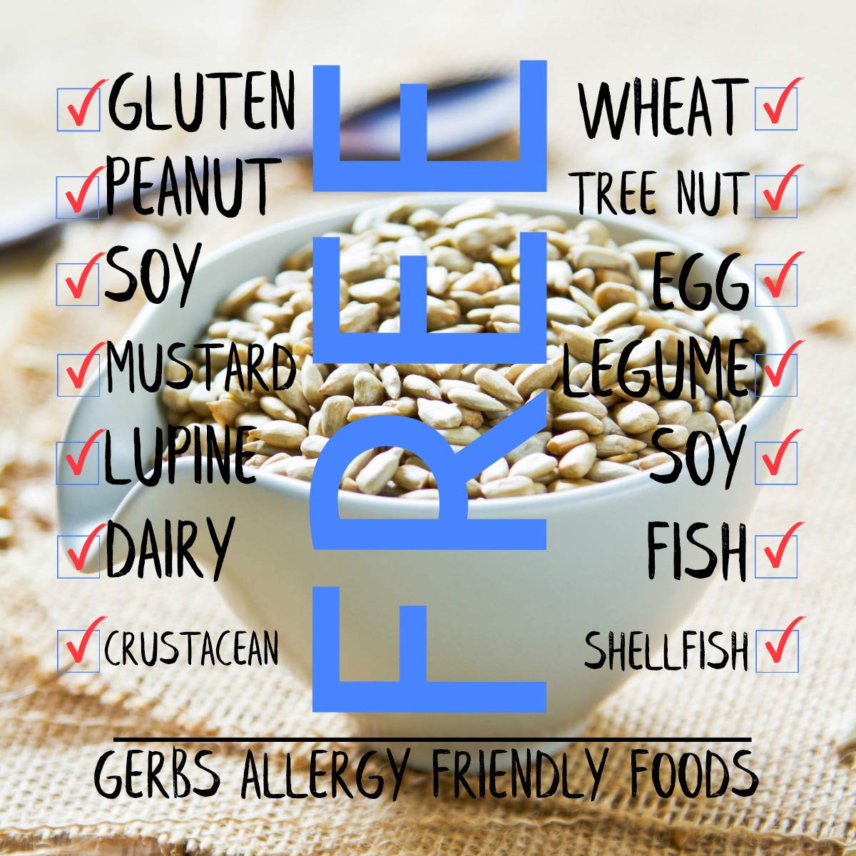 Gerbs Raw Sunflower Seed Kernels 14 oz. | No Artificial Additives, Resealable Bag | Mild & Crunchy | Top 14 Allergen-Free