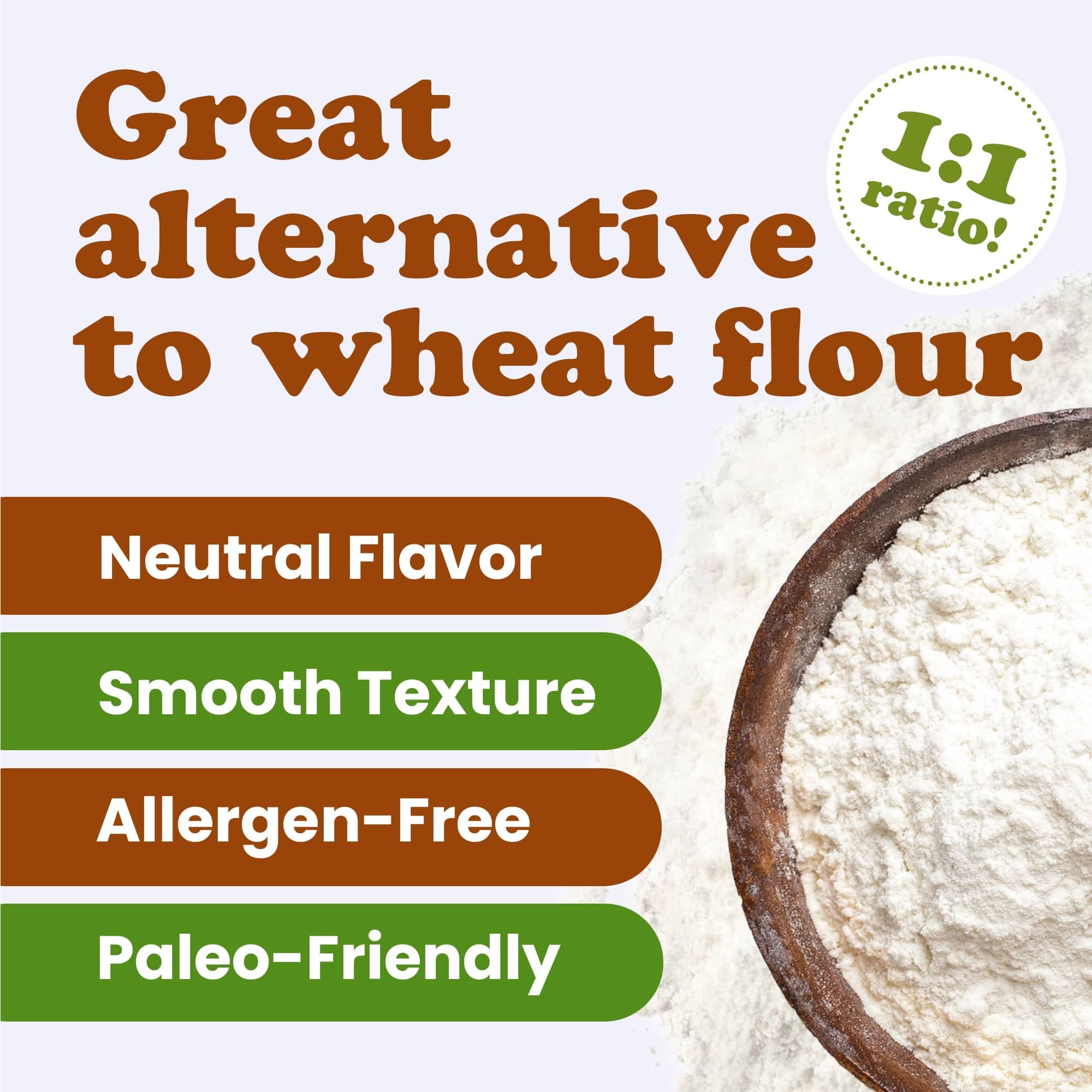 Food to Live Organic Tapioca Flour, 2 Pounds - Non-GMO Finely Ground Tapioca Starch. Wheat and Rice Flour Substitute. All Purpose Thickening Agent
