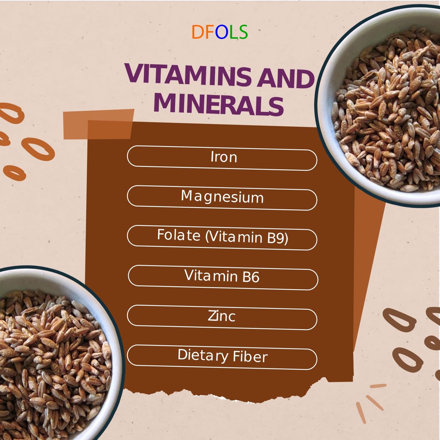 DFOLS Triticale Whole Grain Mild Nutty Wheat Rye Flavor for Cooking 0.55lb 8.82oz (250g) Premium Quality ???????