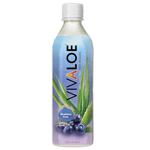 VIVALOE Blueberry Aloe 16.9fl oz (12 Pack)