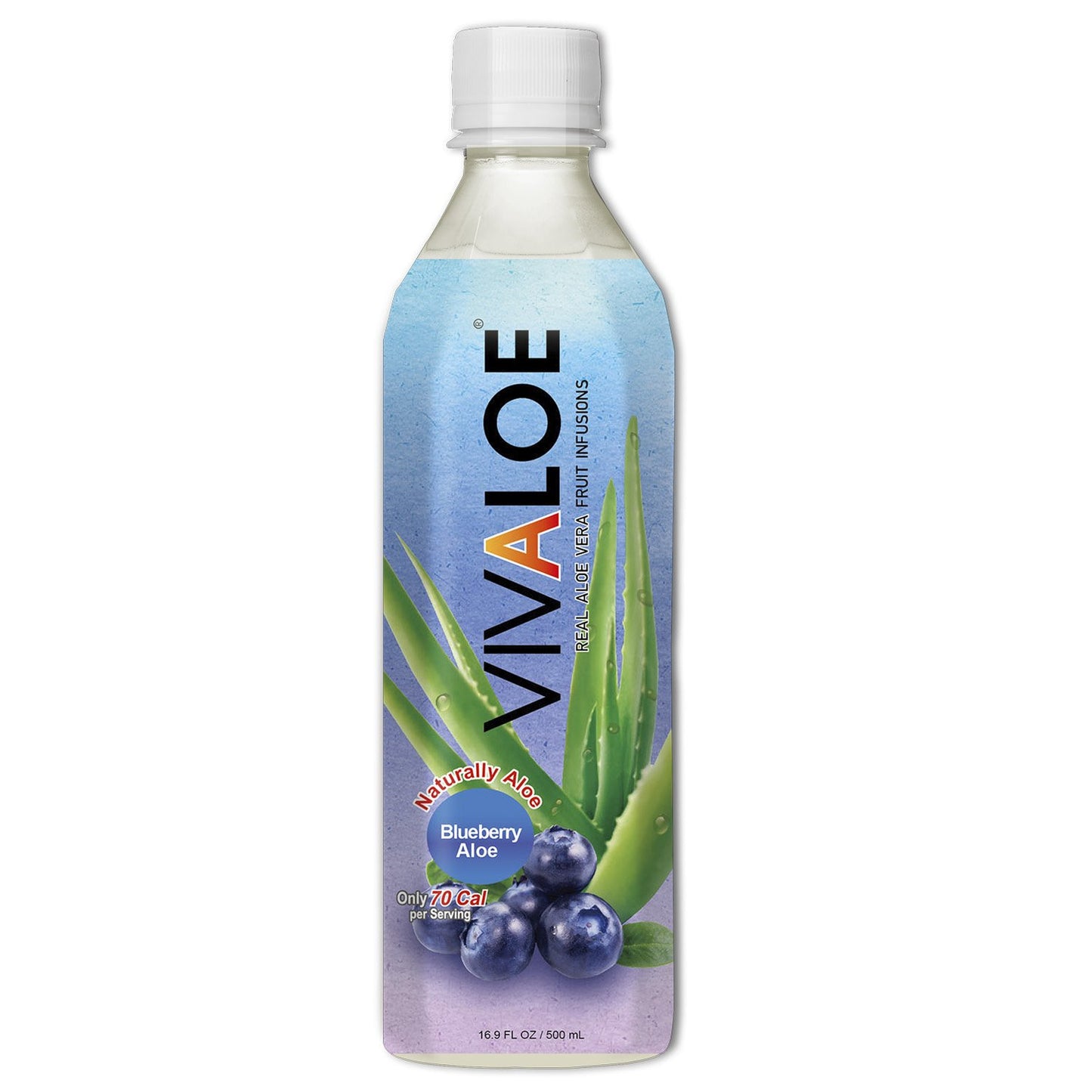 VIVALOE Blueberry Aloe 16.9fl oz (12 Pack)