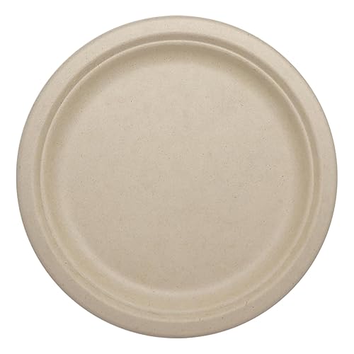 World Centric Compostable Round Paper Plates, 9" (Pack of 20), Made from Unbleached Plant Fiber, Sustainable, Heavy Duty, Grease Resistant, Microwave