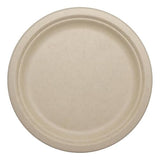 World Centric Compostable Round Paper Plates, 9" (Pack of 20), Made from Unbleached Plant Fiber, Sustainable, Heavy Duty, Grease Resistant, Microwave