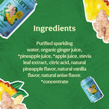 Nourrir Sparkling Pineapple Ginger Juice, Real Fruit, Tropical Zest & Spiced Warmth, Non-GMO, Gluten-Free, Non-Alcoholic, 90 cals, 0g Added Sugar