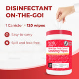HandyClean Rinse-Free Food Contact Sanitizing Wipes Canister, Multi Surface Cleaning Supplies for Kitchen and Professional Setting One Canister (120